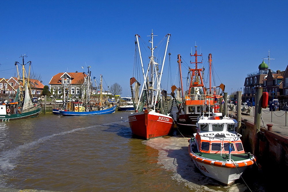 Fishing boats in Neuharlingersiel harbour, East Frisia, Lower Saxony, North Sea Coast, Wadden Sea, Germany, Europe