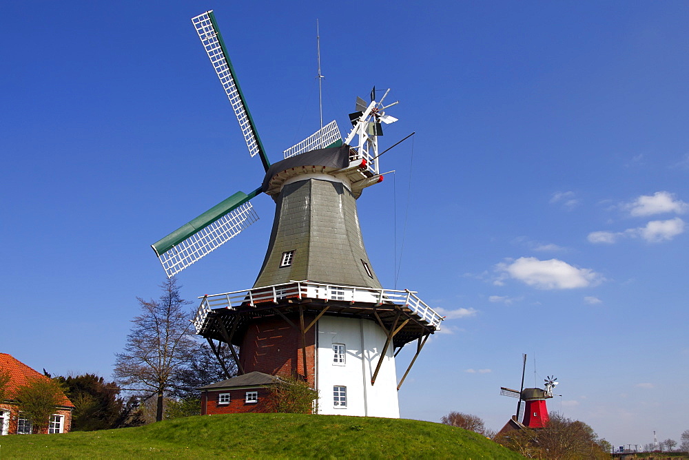 Twin mill in Greetsiel, windmill, built in the style of a two-storey Dutch gallery windmill with a wind rose, Krummhoern Greetsiel, Eastern Frisia, Lower Saxony, Germany, Europe