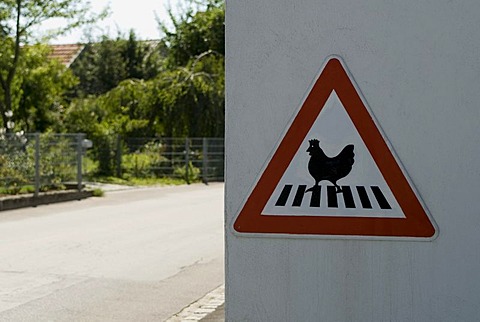 Warning sign crossing hen on cross walk in a small village north of Munich near Pfaffenhofen Bavaria Germany