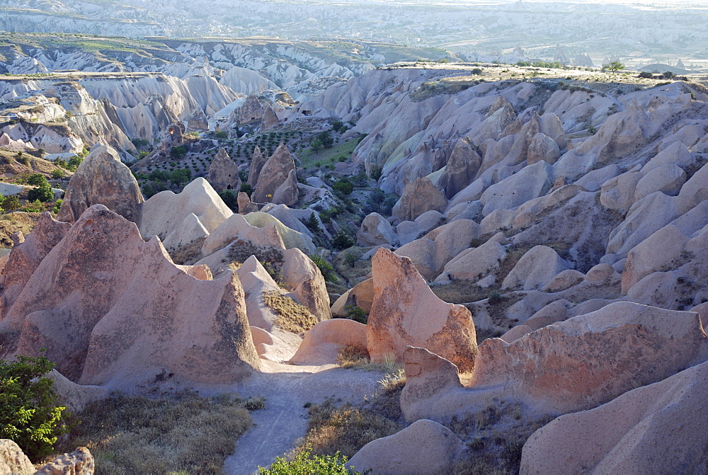 Rose Valley, Cappadocia, Anatolia, Turkey