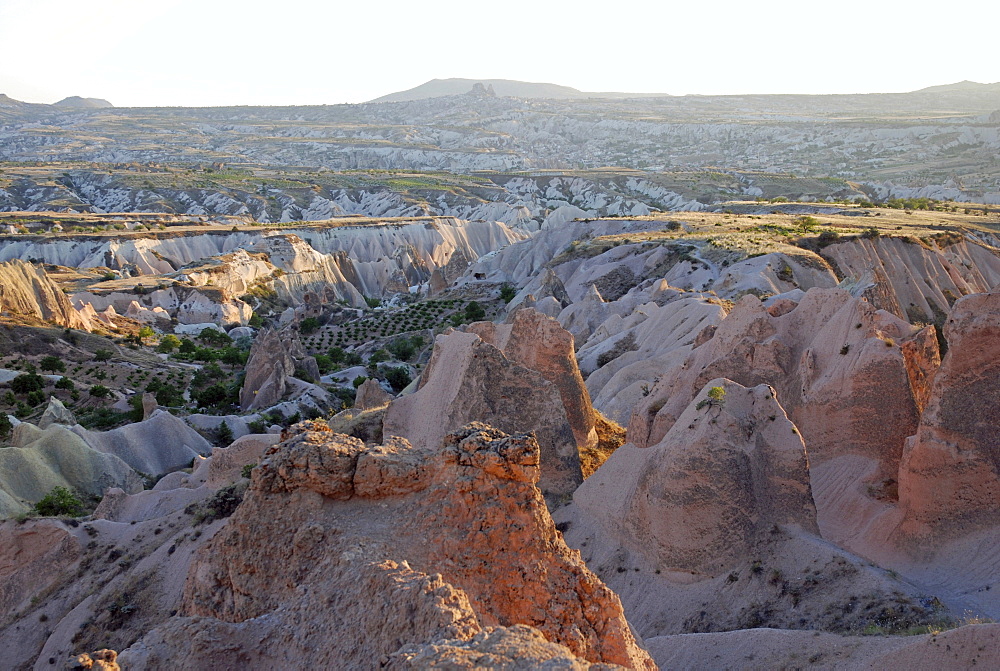 Rose Valley, Cappadocia, Anatolia, Turkey