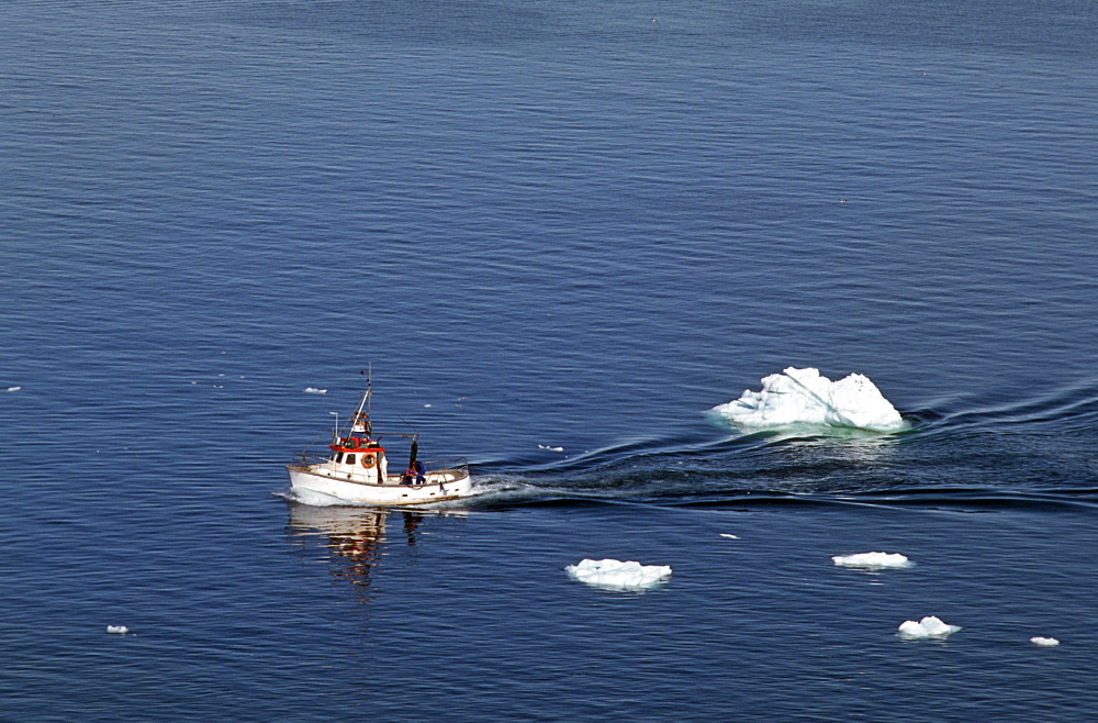 Fishing boat, Disko Bay, Ilulissat, Greenland, Danmark