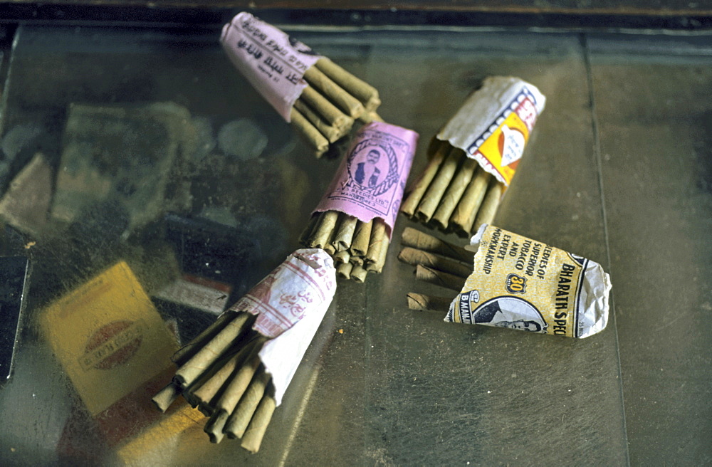 Beedi or Bidi, an Indian smoking product rolled from Tendu or Coromandel Ebony leaves (Diospyros melanoxylon) and filled with tobacco or other herbs, India, Asia