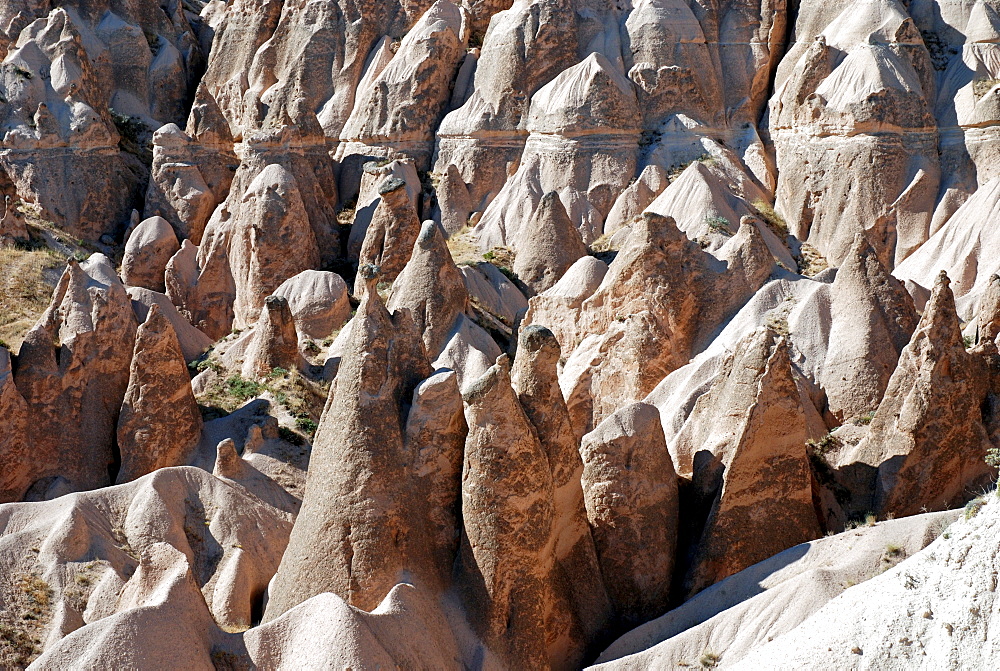 Bizarre tufa formations, Devrent Valley near Goereme, Cappadocia, Anatolia, Turkey