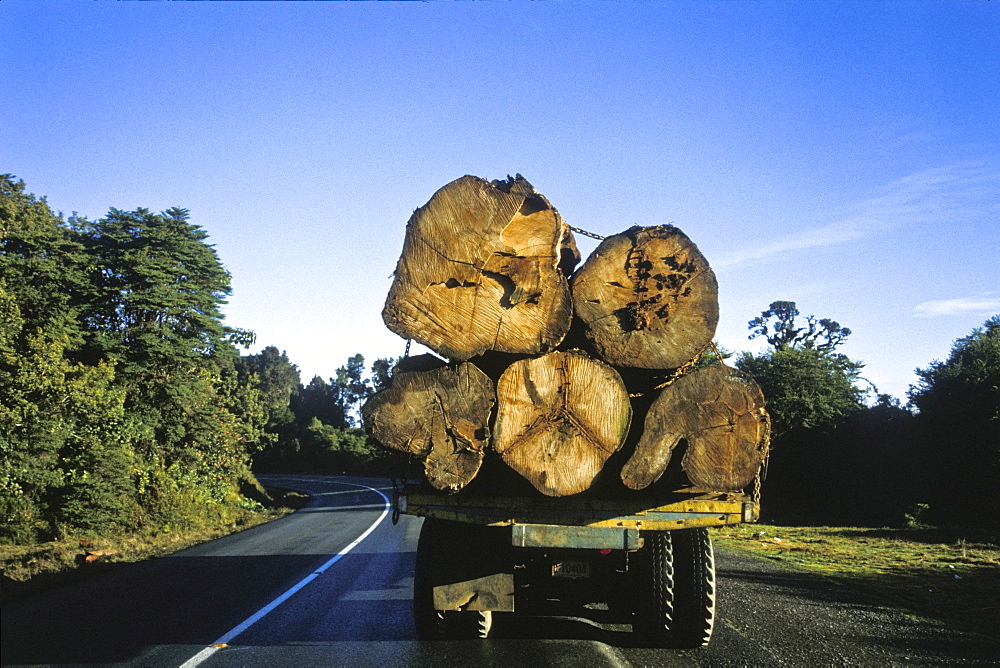 Destruction of the rainforest, deforestation, logs transported along the Pan-American Highway, Cerro de la Muerte, Costa Rica, Central America