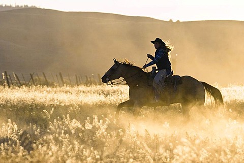 Cowgirl riding, Oregon, USA