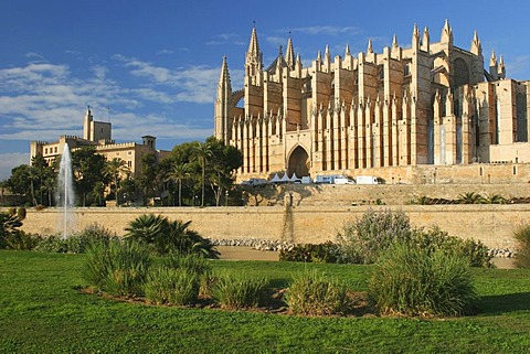 Cathedral La Seu and Almudaina Palace in Palma, Majorca , Balearic Islands , Spain , Europe