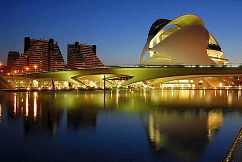 Palau de les Arts Reina Sofia, opera house, Ciudad de las Artes y de las Ciencias (City of Arts and Sciences), Valencia, Valencia, Spain