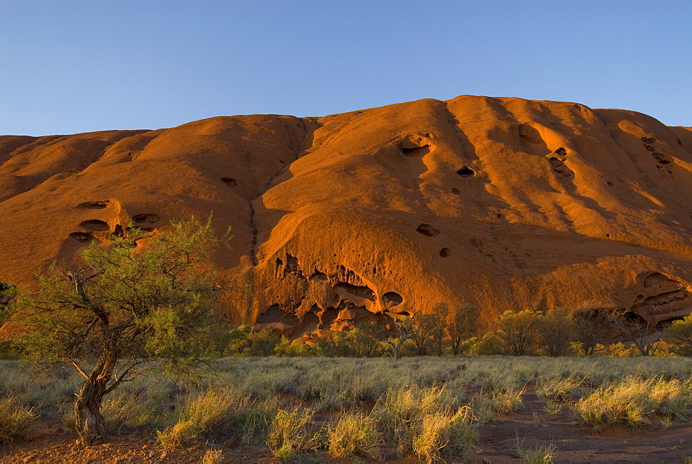 Ayers Rock, called Uluru, magic rock of the Aboriginals, Yulara, Ayers Rock, Northern Territories, Australien, Australia