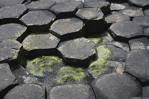 Giant's Causeway, Northern Ireland