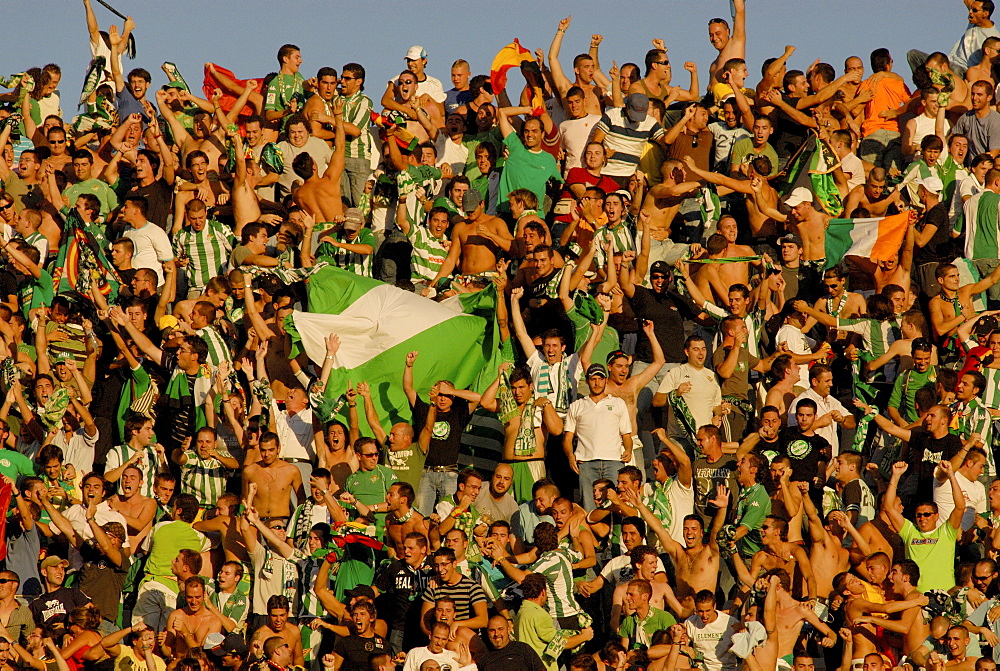 Real Betis Balompie football club fans hoisting Andalusian flags in Ramon Sanchez-Pizjuan stadium, Seville, Andalusia, Spain, Europe