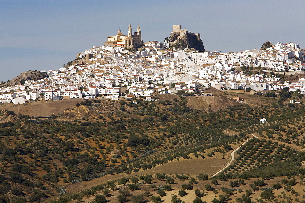 Parroquia de Nuestra Senora de la Encarnacion (Parish of Our Lady of the Incarnation) next to the fortress in Olvera, Andalusia, Spain, Europe