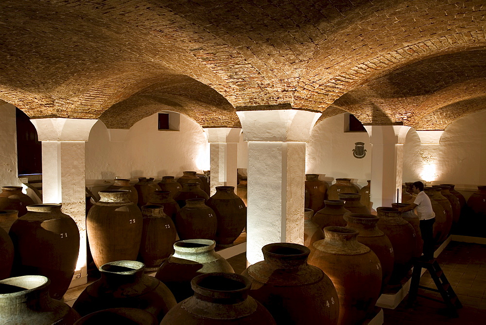 Bodega Jose de Sousa, belonging to the wine empire of Jose Maria Fonseca, Reguengos de Monsaraz, Alentejo, Portugal, Europe