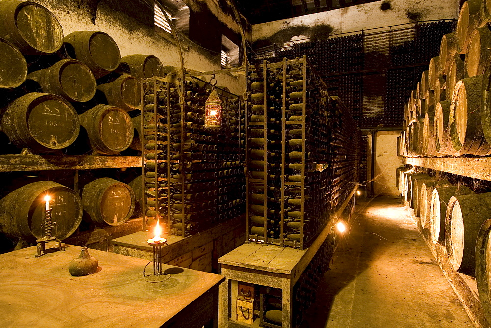 Bodega Jose Maria Fonseca, Winery Museum, all vintages of Moscatel wine are stored here, Vila Nogueira de Azeitao, SetÃºbal, Portugal, Europe