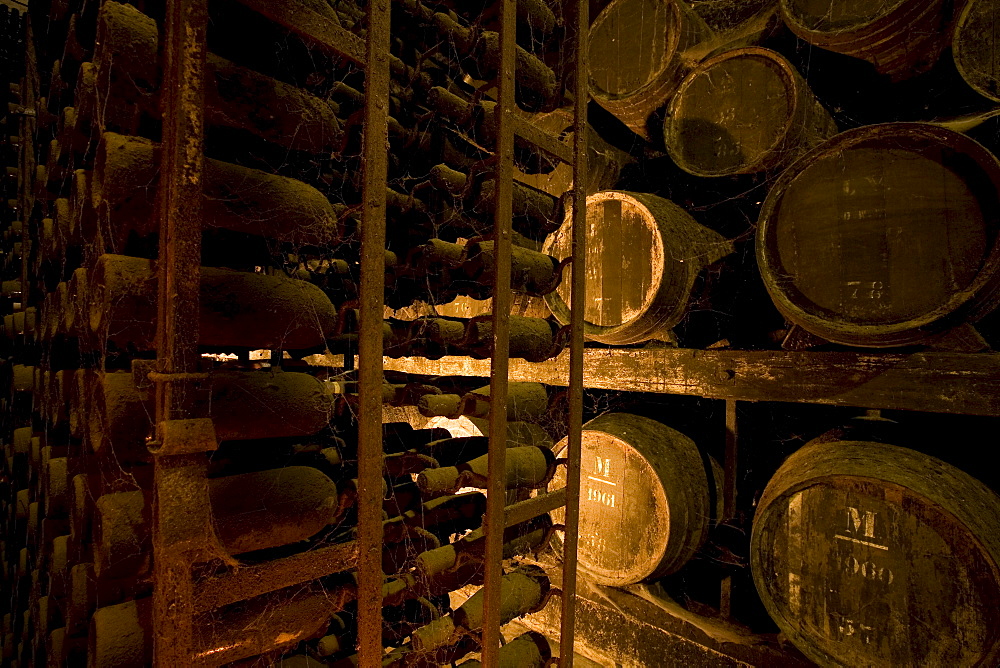 Bodega Jose Maria Fonseca, Winery Museum, all vintages of Moscatel wine are stored here, Vila Nogueira de Azeitao, SetÃºbal, Portugal, Europe