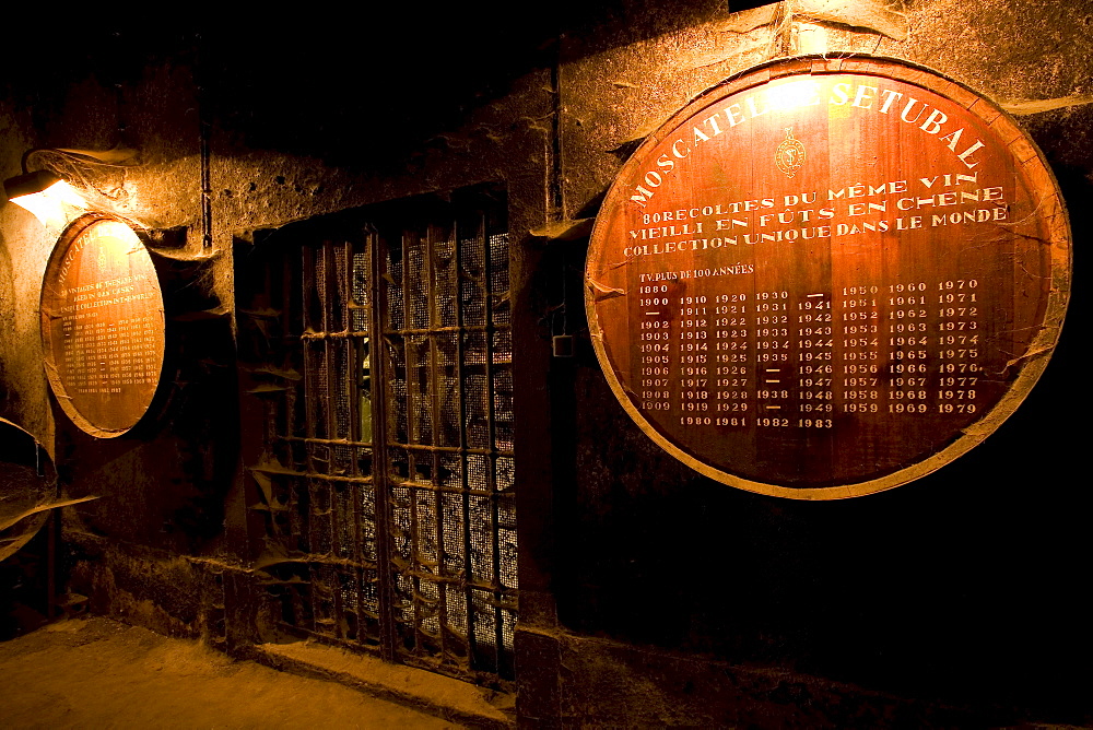 Bodega Jose Maria Fonseca, Winery Museum, all vintages of Moscatel wine are stored here, Vila Nogueira de Azeitao, SetÃºbal, Portugal, Europe