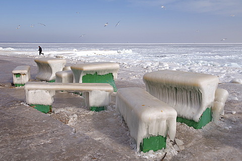 Icy cafe tables and benches on the beach of the frozen Black Sea, a rare phenomenon, last time it occured in 1977, Odessa, Ukraine, Eastern Europe