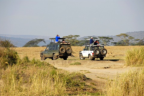 Safari two Toyota Landcruisers in the Serengeti Tanzania