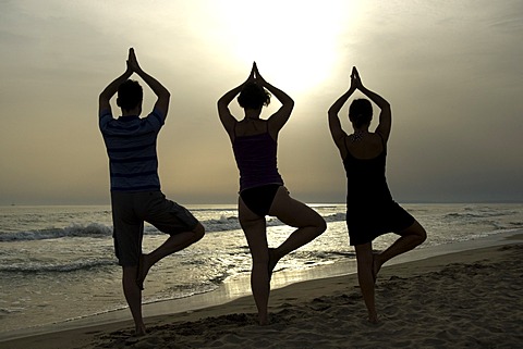 One man and two women, silhouettes, yoga position the tree, beach, sea, Camargue, France, Europe