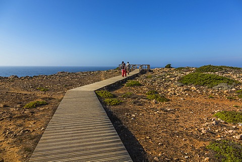 Boardwalk to the lookout point, Carrapateira, Algarve, West Coast, Portugal, Europe