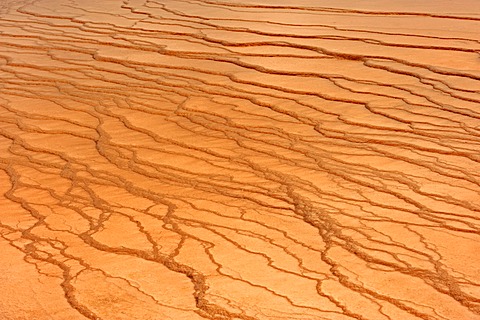 Mineral deposits at a hot spring, Midway Geyser Basin, Yellowstone National Park, Wyoming, USA