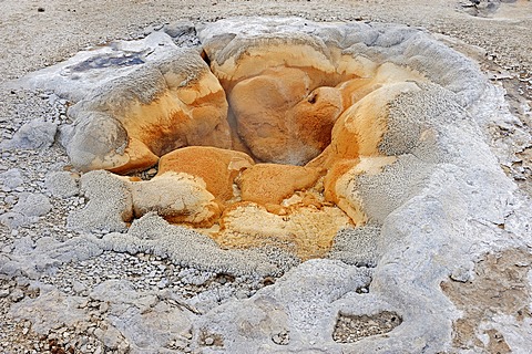 Shell Spring, geyser, hot spring, Biscuit Basin, Yellowstone National Park, Wyoming, USA