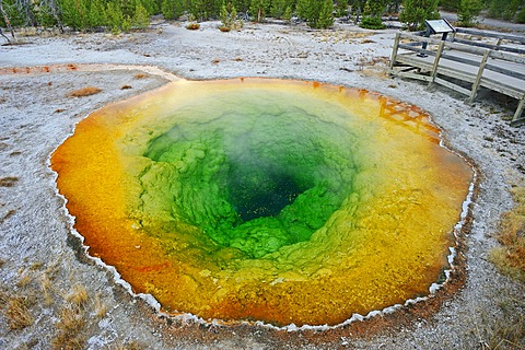 Morning Glory Pool, a hot spring in Upper Geyser Basin, Yellowstone National Park, Wyoming, USA