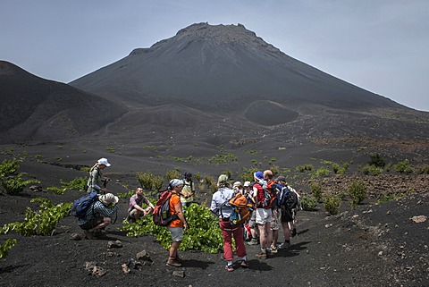 Hikers in front of the volcano Pico do Fogo, Fogo National Park, Fogo island, Cape Verde