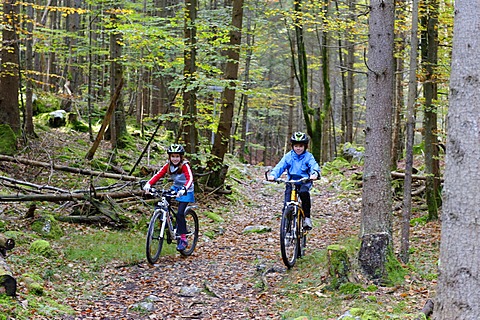 Children riding mountain bikes in a forest near Grainau, Werdenfelser Land, Upper Bavaria, Bavaria, Germany, Europe