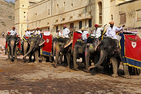 Elephant ride to Amber Palace, Rajasthan, northern India, Asia