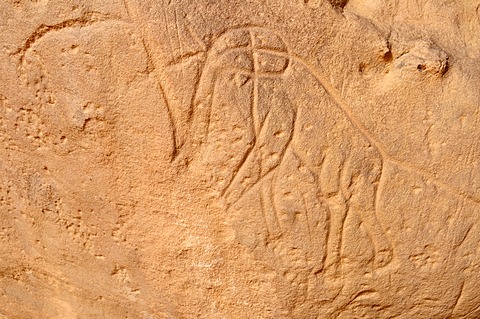 Elephant engraving, neolithic rockart of the Acacus Mountains or Tadrart Acacus range, Tassili n'Ajjer National Park, Unesco World Heritage Site, Algeria, Sahara, North Africa