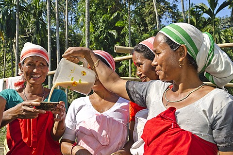 Women of the Deori tribe drinking the local beer at a family celebration, India, Asia