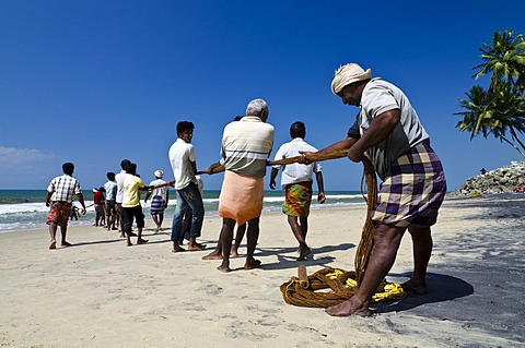 Fishermen fishing the traditional way, in a small village at the coast around Varkala, Kerala, India, Asia