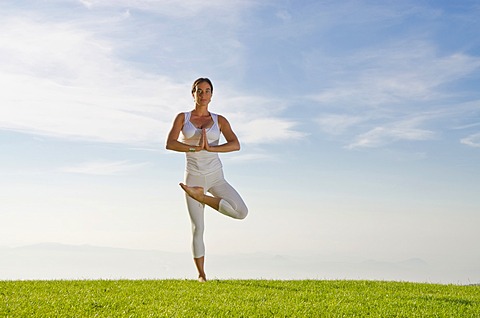 Young woman practising Hatha yoga outdoors, showing the pose vrikshasana, tree, Nove Mesto, Okres Teplice, Czech Republic, Europe