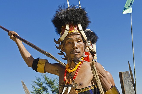 Konyak warrior in full gear at Hornbill Festival, Kohima, India, Asia