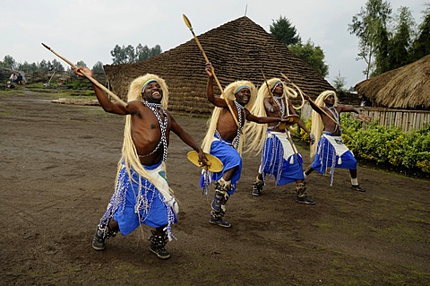 Traditional dancers during a folklore event in a village of former hunters near the village of Kinigi on the edge of the Volcanoes National Park, Parc National des Volcans, Rwanda, Africa