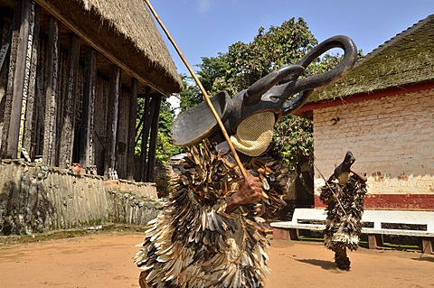 Traditional dance at the palace of Bafut, one of the traditional kingdoms of Cameroon, near Bamenda, north west Cameroon, Central Africa, Africa