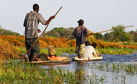 Boatsmen with tourists in traditional Mokoro dugout canoes, excursion in the Okavango Delta, Botswana, Africa