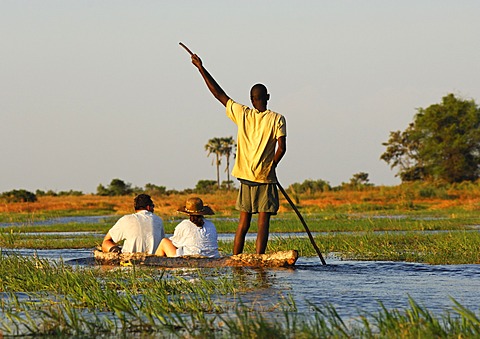 Punter with tourists in the traditional Mokoro dugout canoes on excursion in the Okavango Delta, Botswana, Africa