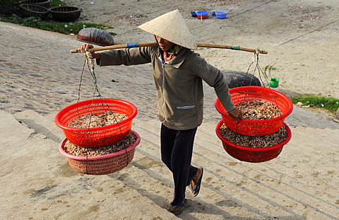 Woman carries baskets of fish, fish market, beach of Mui Ne, Vietnam, Asia