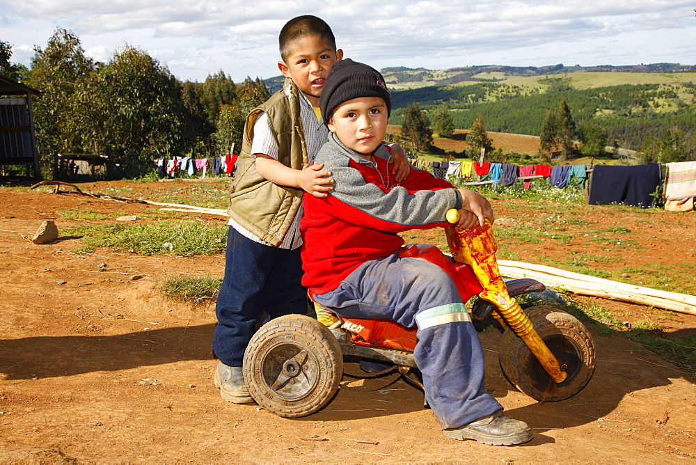 Two boys playing with a tricycle, Mapuche Indians, near Concepcion, Southern Chile, Chile, South America