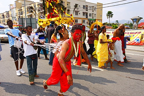 Pilgrim with spiritual piercing, Hindu festival Thaipusam, Batu Caves limestone caves and temples, Kuala Lumpur, Malaysia, Southeast Asia, Asia