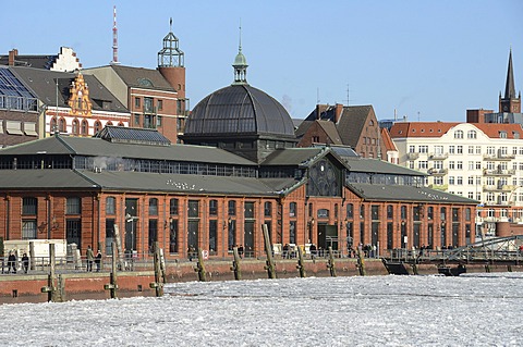 Old fish market hall in the Port of Hamburg, Hamburg, Germany, Europe