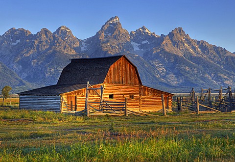 John and Bartha Moulton Homestead, Mormon Barn in the morning, historic barn of the Mormons in front of Teton Range, Mormon Row Historic District, Antelope Flats, Grand Teton National Park, Wyoming, United States of America, USA