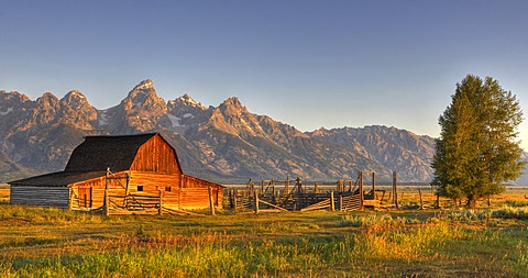 John and Bartha Moulton Homestead, Mormon Barn in the morning, historic barn of the Mormons in front of Teton Range, Mormon Row Historic District, Antelope Flats, Grand Teton National Park, Wyoming, United States of America, USA