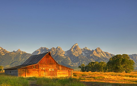 John and Bartha Moulton Homestead, Mormon Barn in the morning, historic barn of the Mormons in front of Teton Range, Mormon Row Historic District, Antelope Flats, Grand Teton National Park, Wyoming, United States of America, USA