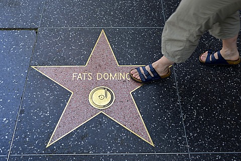 Terrazzo star for the musician Fats Domino, music category, Walk of Fame, Hollywood Boulevard, Hollywood, Los Angeles, California, United States of America, USA, PublicGround