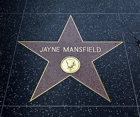 Terrazzo star for the artist Jayne Mansfield, film category, Walk of Fame, Hollywood Boulevard, Hollywood, Los Angeles, California, United States of America, USA, PublicGround