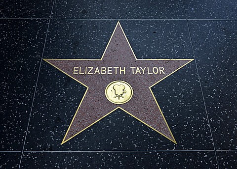 Terrazzo star for the artist Elizabeth Taylor, film category, Walk of Fame, Hollywood Boulevard, Hollywood, Los Angeles, California, United States of America, USA, PublicGround