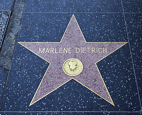 Terrazzo star for the artist Marlene Dietrich, film category, Walk of Fame, Hollywood Boulevard, Hollywood, Los Angeles, California, United States of America, USA, PublicGround